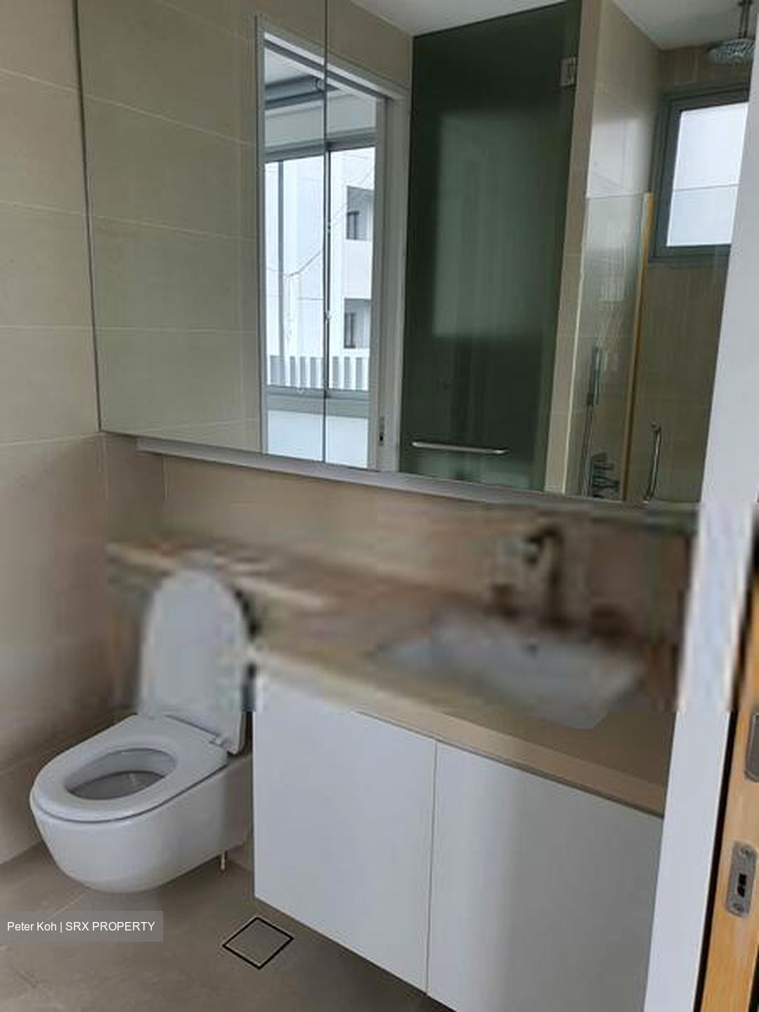 Sarkies Green (D10), Condominium #606853911